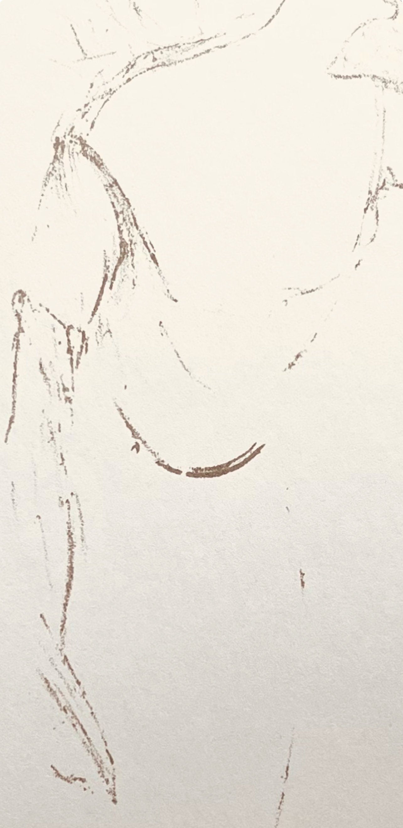 Henri De Toulouse-Lautrec, Composition, Yvette Guilbert Vue Par Toulouse-Lautrec, Lithograph