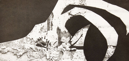Pablo Picasso, Composition (Bloch 112; Kibbey 1466; Goeppert 115), Diurnes Dcoupages Et