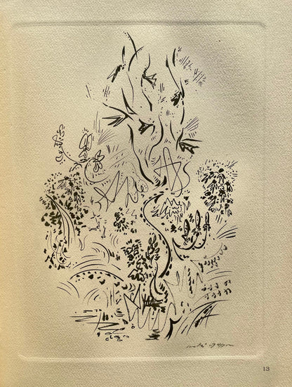 Andr Masson, Herbes Et Fleurs, Masson Dessins, Lithograph