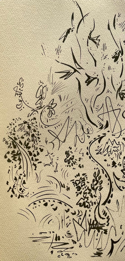 Andr Masson, Herbes Et Fleurs, Masson Dessins, Lithograph