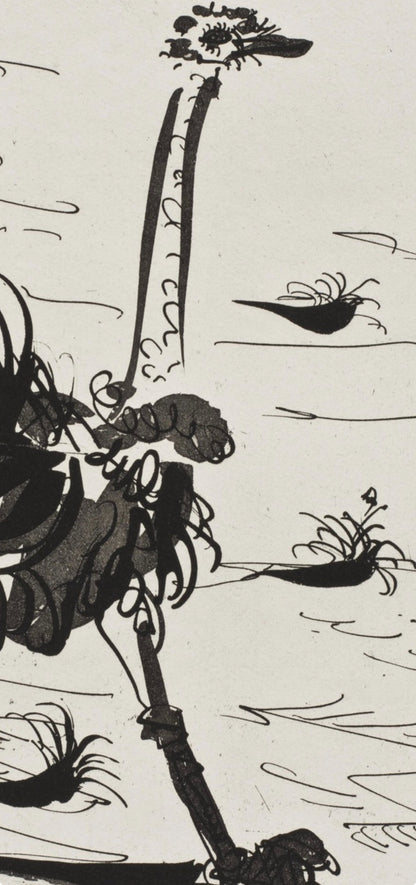 Pablo Picasso, L'Autruche, Histoire Naturelle, Lithograph