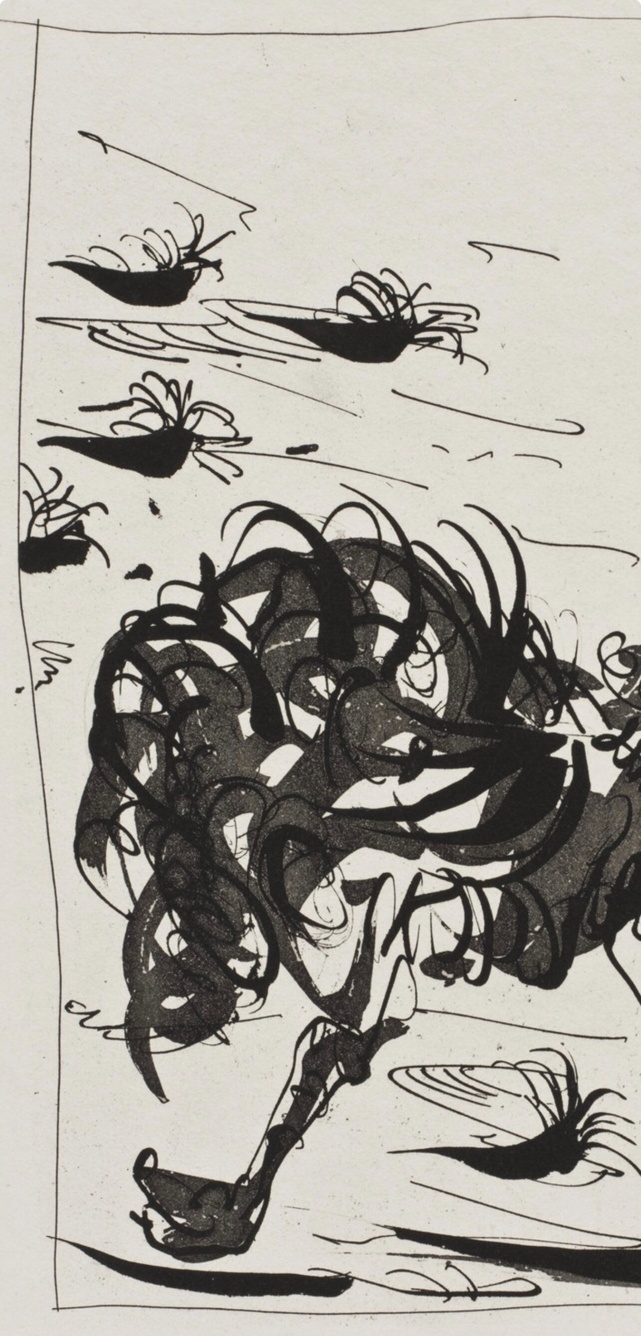 Pablo Picasso, L'Autruche, Histoire Naturelle, Lithograph