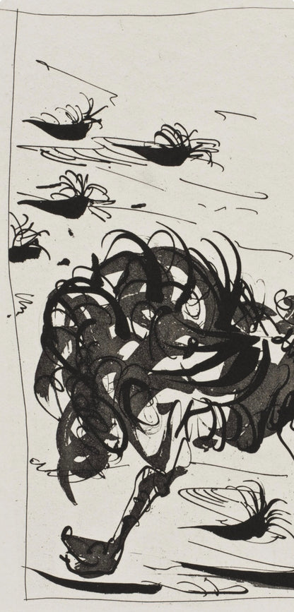 Pablo Picasso, L'Autruche, Histoire Naturelle, Lithograph