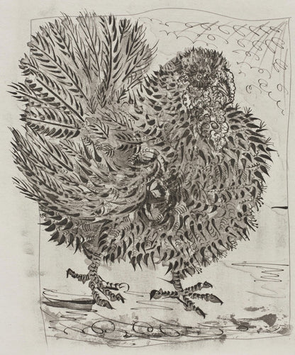 Pablo Picasso, Le Dindon, Histoire Naturelle, Lithograph