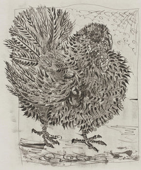 Pablo Picasso, Le Dindon, Histoire Naturelle, Lithograph