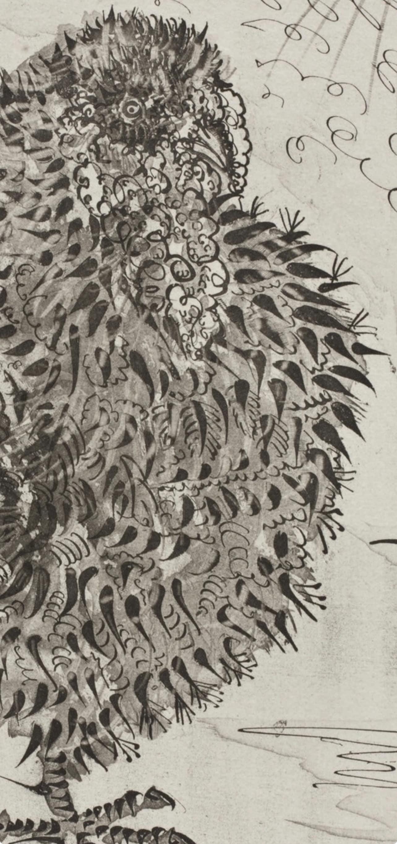 Pablo Picasso, Le Dindon, Histoire Naturelle, Lithograph
