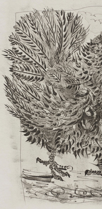 Pablo Picasso, Le Dindon, Histoire Naturelle, Lithograph
