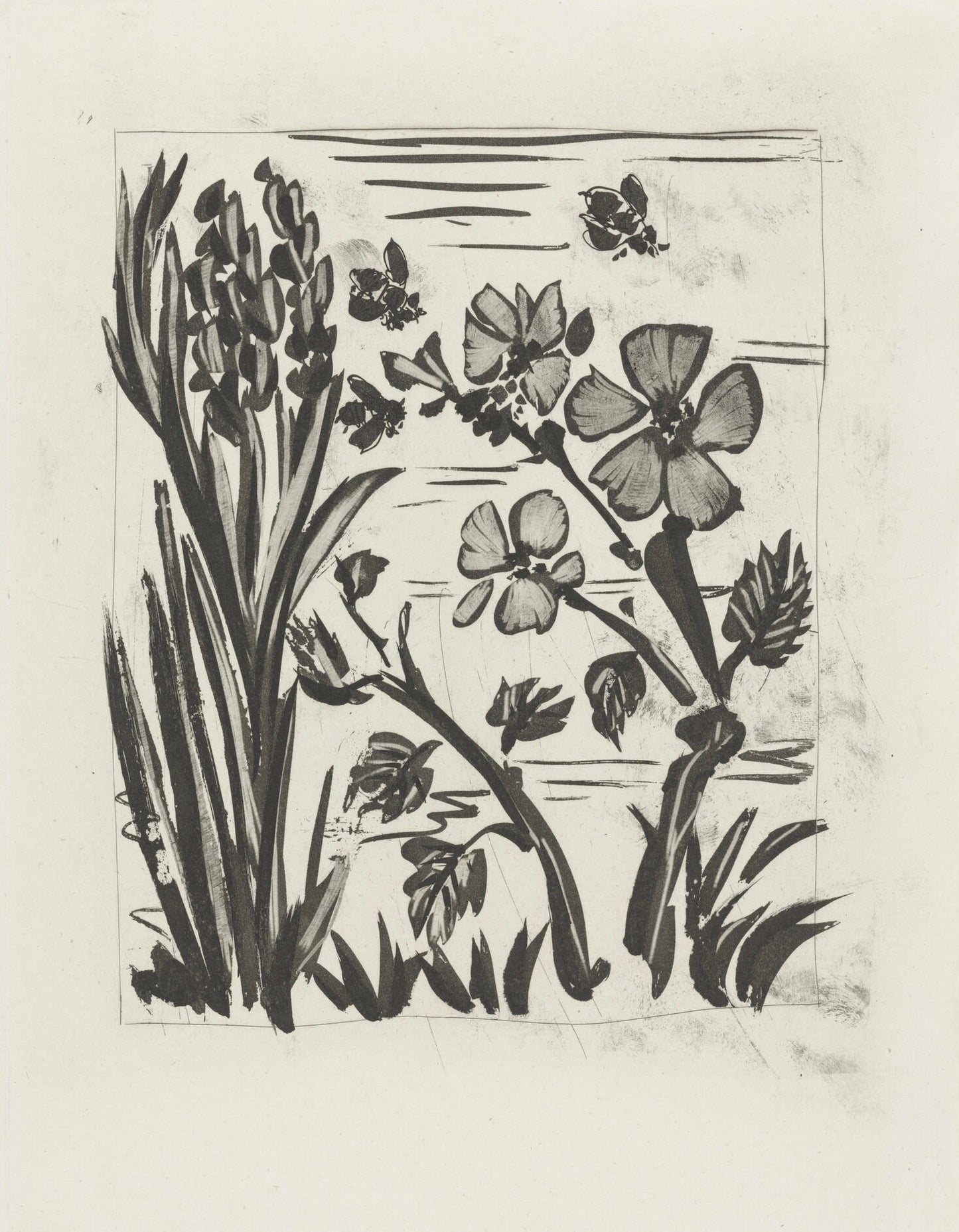 Pablo Picasso, L'Abeille, Histoire Naturelle, Lithograph