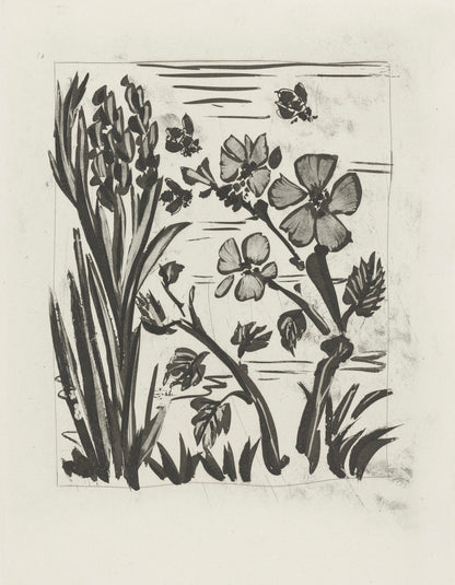 Pablo Picasso, L'Abeille, Histoire Naturelle, Lithograph