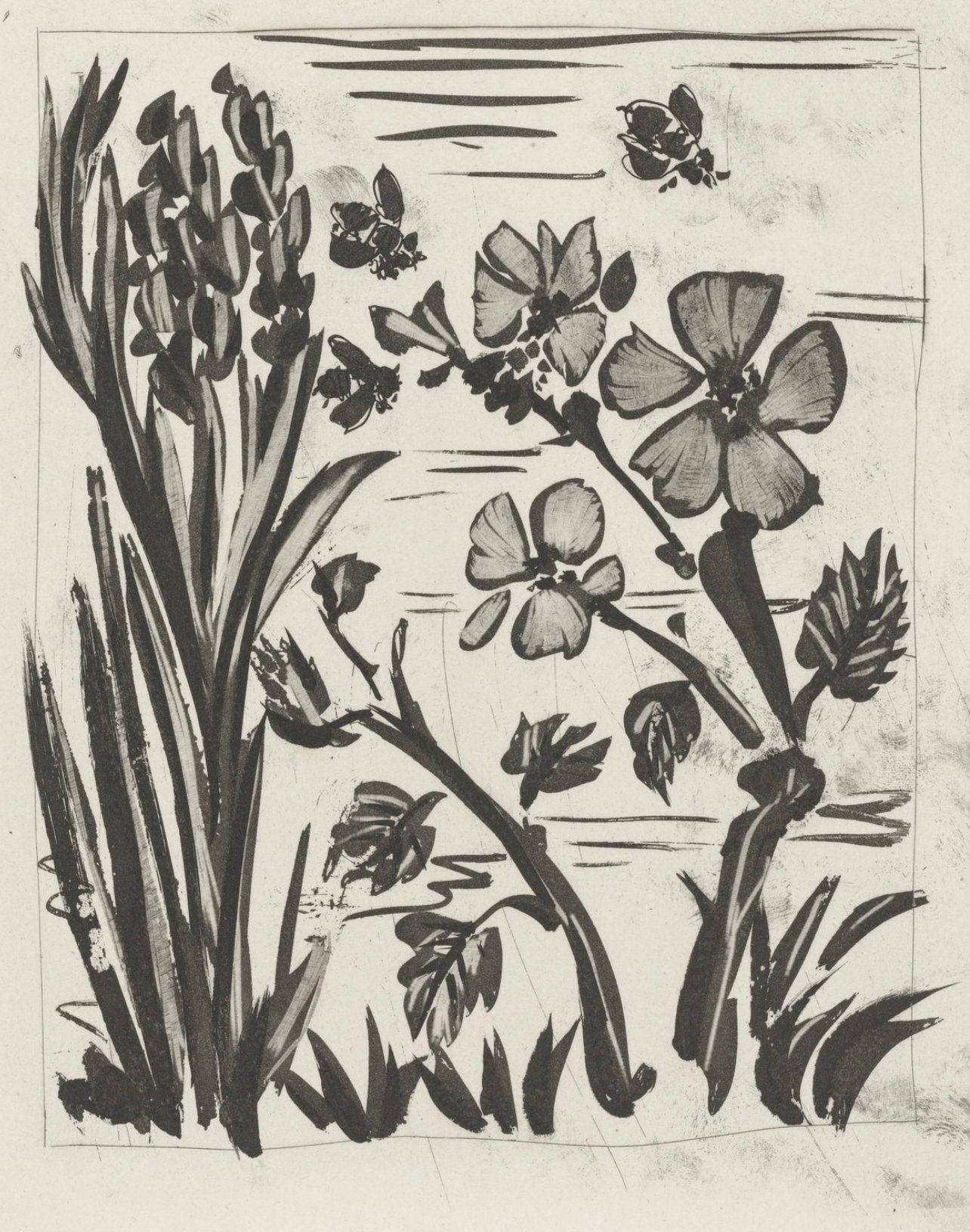 Pablo Picasso, L'Abeille, Histoire Naturelle, Lithograph