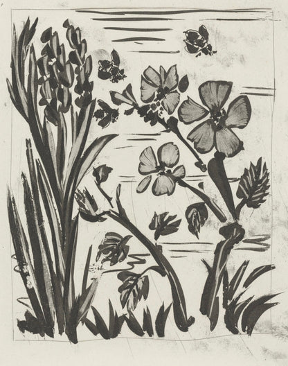 Pablo Picasso, L'Abeille, Histoire Naturelle, Lithograph