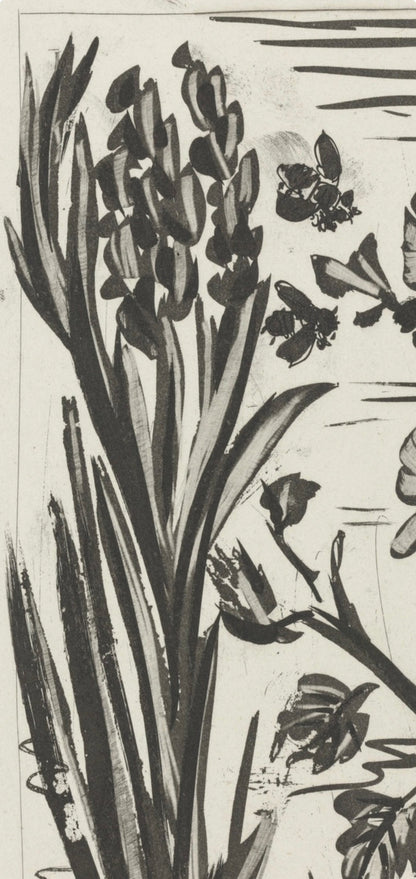 Pablo Picasso, L'Abeille, Histoire Naturelle, Lithograph