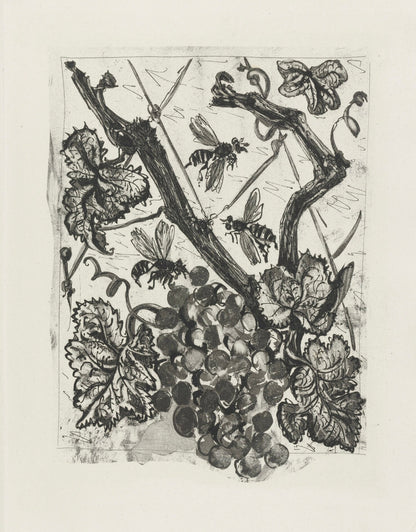 Pablo Picasso, La Gupe, Histoire Naturelle, Lithograph
