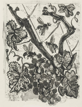 Pablo Picasso, La Gupe, Histoire Naturelle, Lithograph