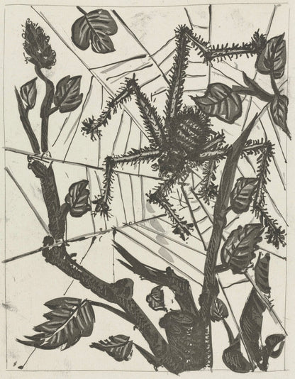 Pablo Picasso, L'Araigne, Histoire Naturelle, Lithograph