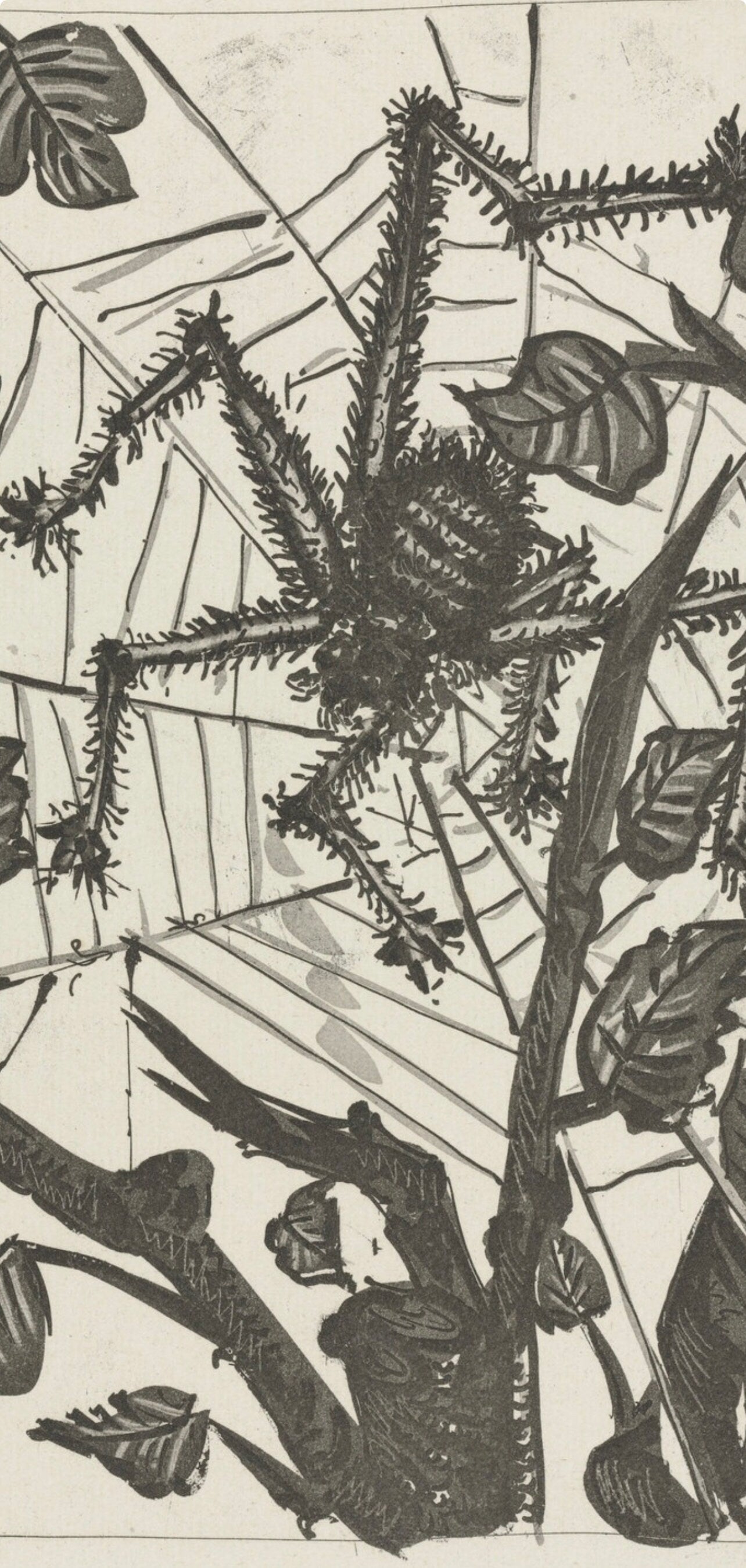 Pablo Picasso, L'Araigne, Histoire Naturelle, Lithograph