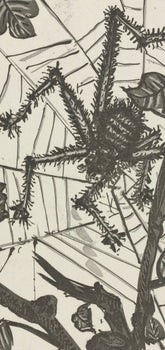 Pablo Picasso, L'Araigne, Histoire Naturelle, Lithograph