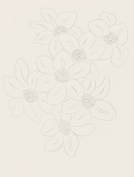 Henri Matisse, Les Fleurs (Flowers), Posies, Lithograph