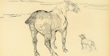 Henri De Toulouse-Lautrec, Un Petit Cob, The Circus By Toulouse-Lautrec, Lithograph