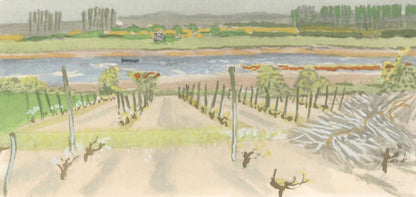 Maurice Brianchon, Une Vigne De La Doulce France, Vins, Fleurs Et Flammes, Lithograph