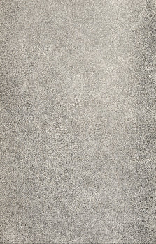 Jean Dubuffet, Composition (Webel 775-779), La Fleur De Barbe, Phototype