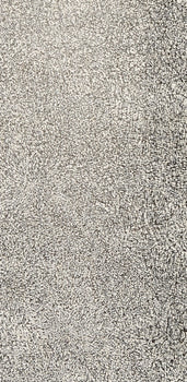 Jean Dubuffet, Composition (Webel 775-779), La Fleur De Barbe, Phototype