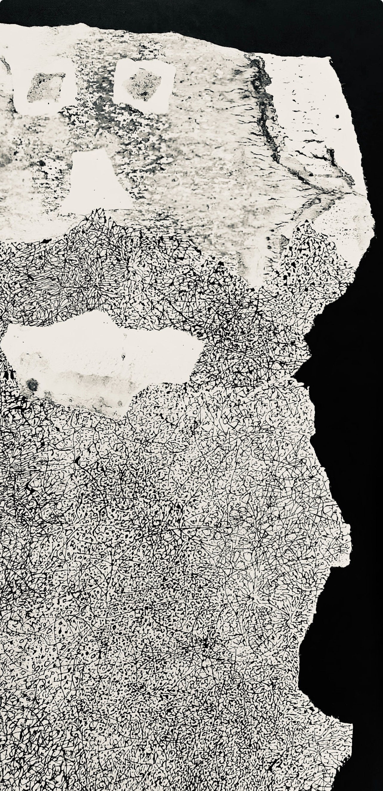 Jean Dubuffet, Composition (Webel 775-779), La Fleur De Barbe, Phototype