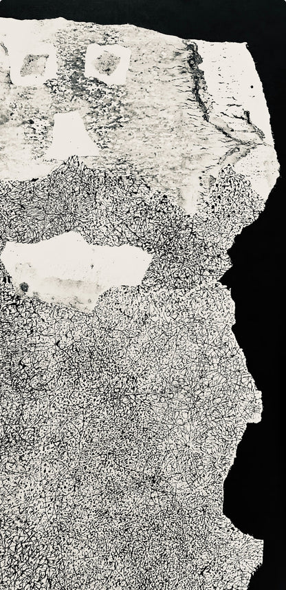 Jean Dubuffet, Composition (Webel 775-779), La Fleur De Barbe, Phototype