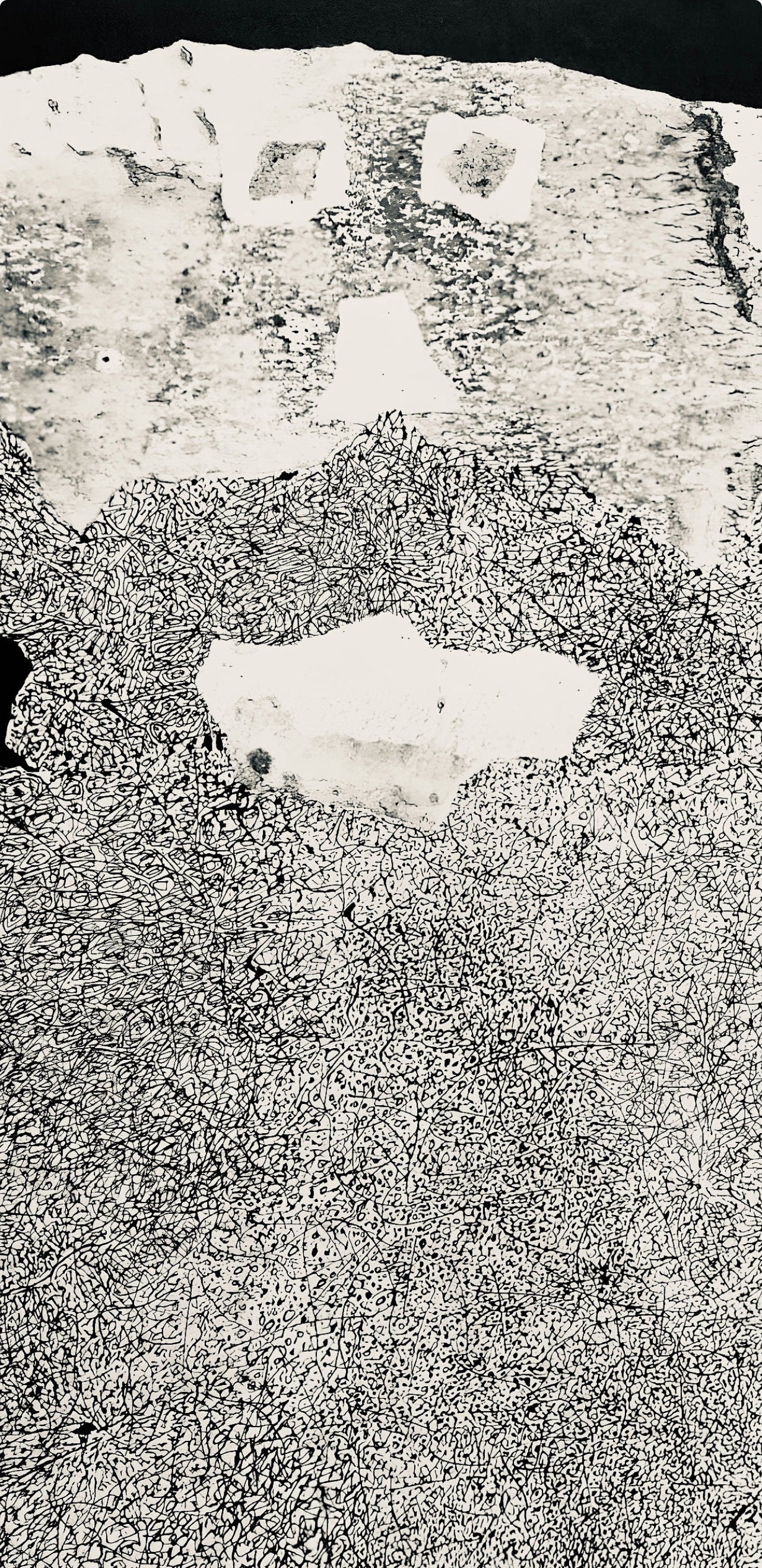 Jean Dubuffet, Composition (Webel 775-779), La Fleur De Barbe, Phototype
