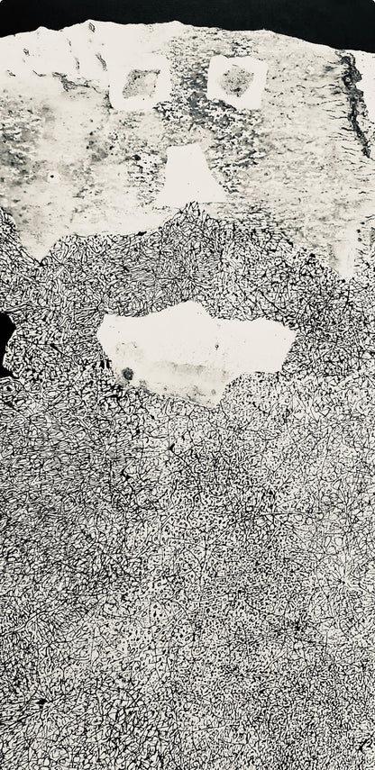 Jean Dubuffet, Composition (Webel 775-779), La Fleur De Barbe, Phototype