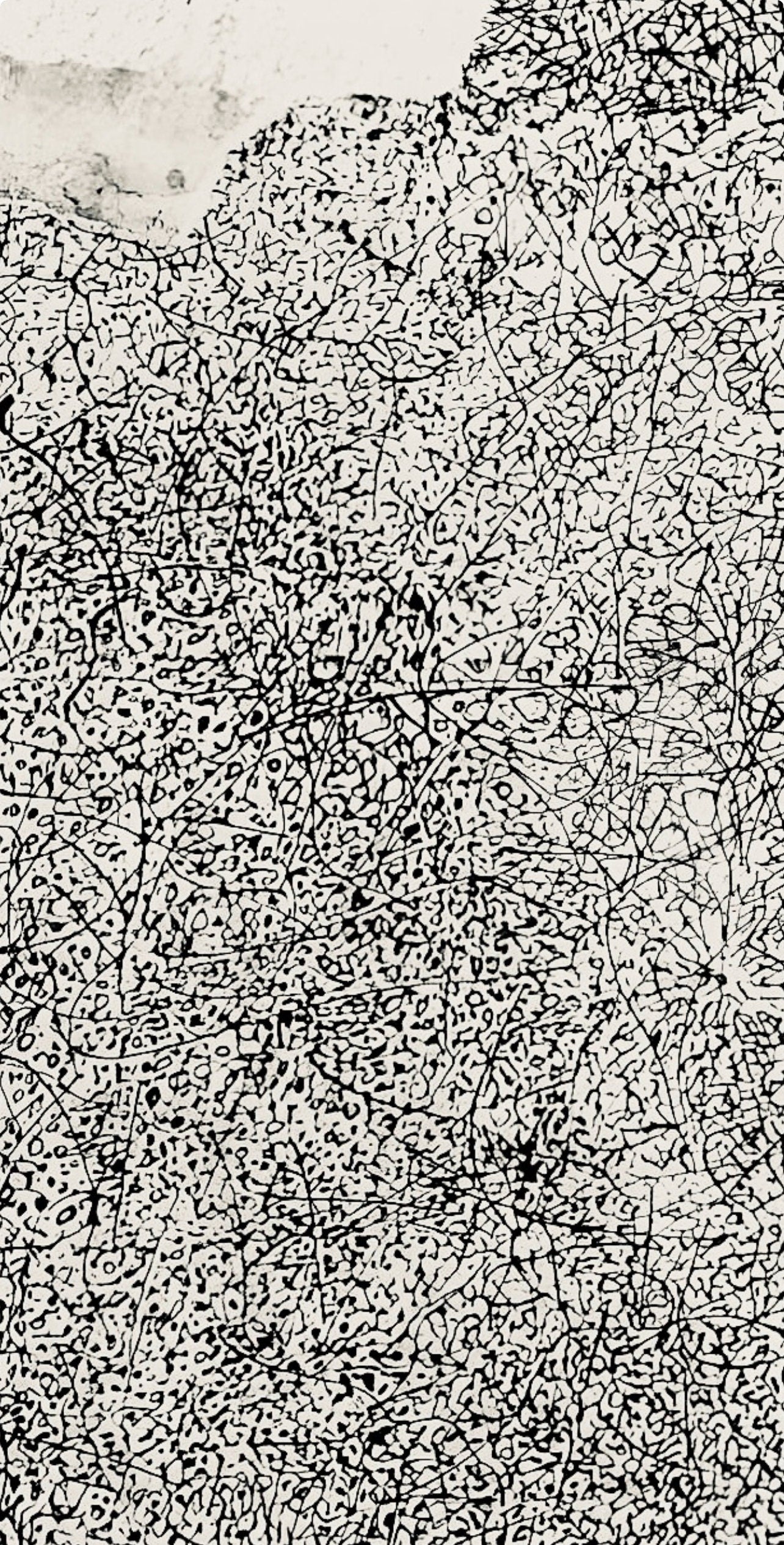 Jean Dubuffet, Composition (Webel 775-779), La Fleur De Barbe, Phototype