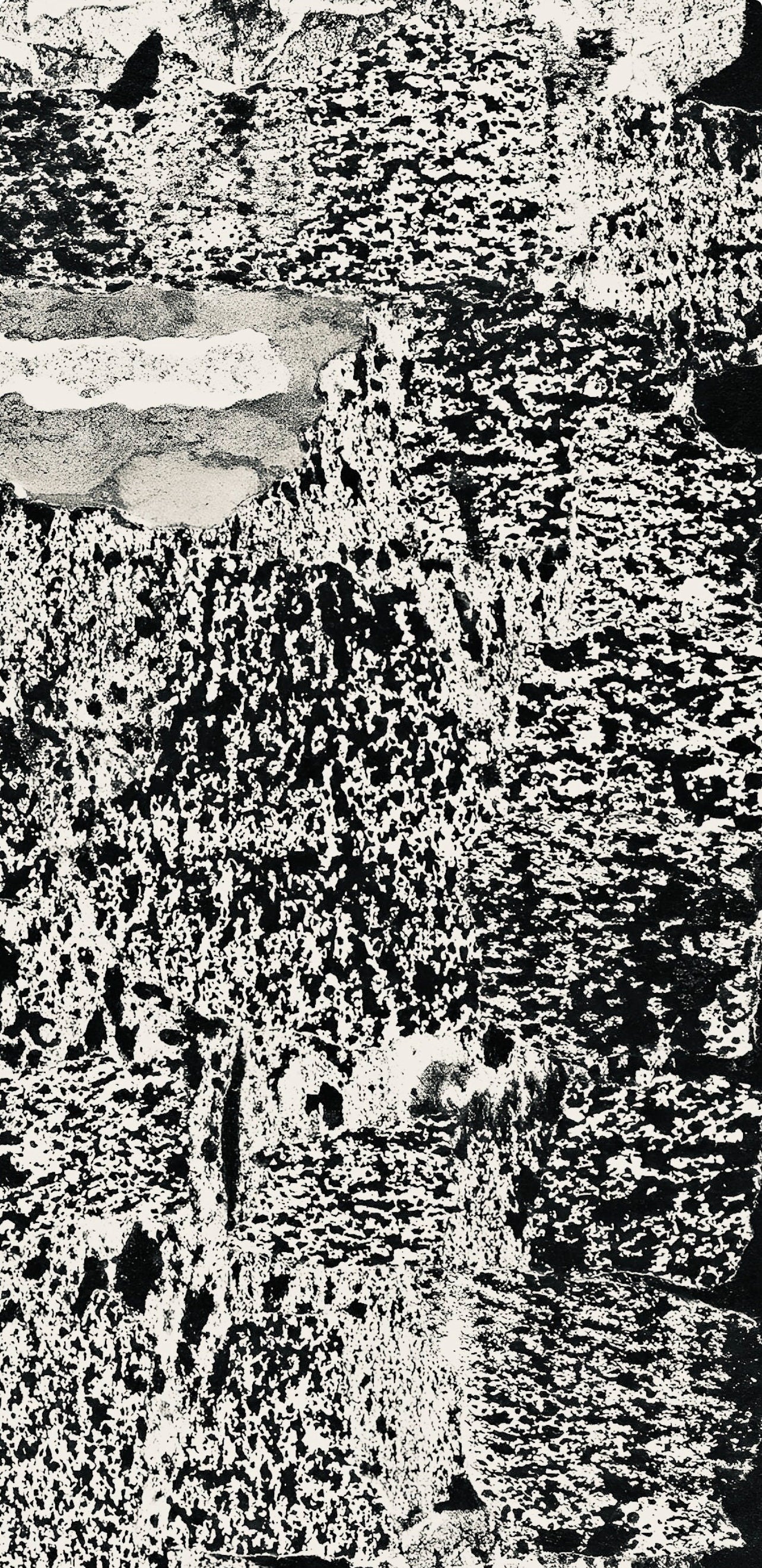 Jean Dubuffet, Composition (Webel 775-779), La Fleur De Barbe, Phototype