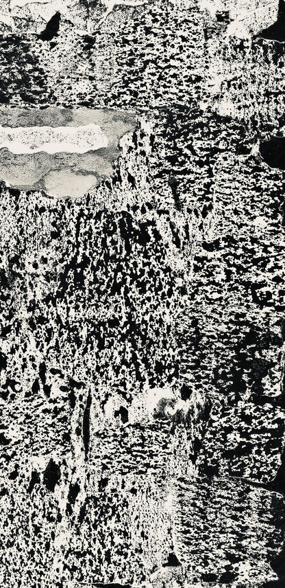 Jean Dubuffet, Composition (Webel 775-779), La Fleur De Barbe, Phototype