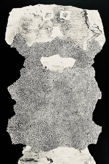 Jean Dubuffet, Composition (Webel 775-779), La Fleur De Barbe, Phototype
