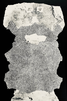 Jean Dubuffet, Composition (Webel 775-779), La Fleur De Barbe, Phototype