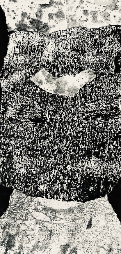 Jean Dubuffet, Composition (Webel 775-779), La Fleur De Barbe, Phototype