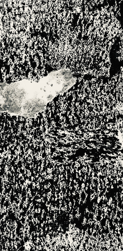 Jean Dubuffet, Composition (Webel 775-779), La Fleur De Barbe, Phototype