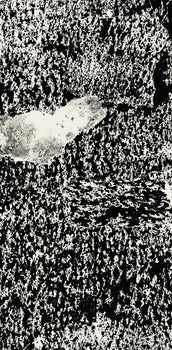 Jean Dubuffet, Composition (Webel 775-779), La Fleur De Barbe, Phototype