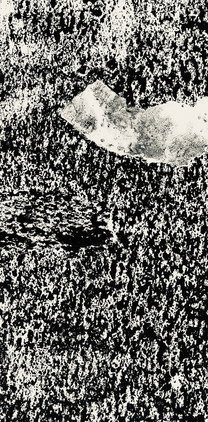 Jean Dubuffet, Composition (Webel 775-779), La Fleur De Barbe, Phototype