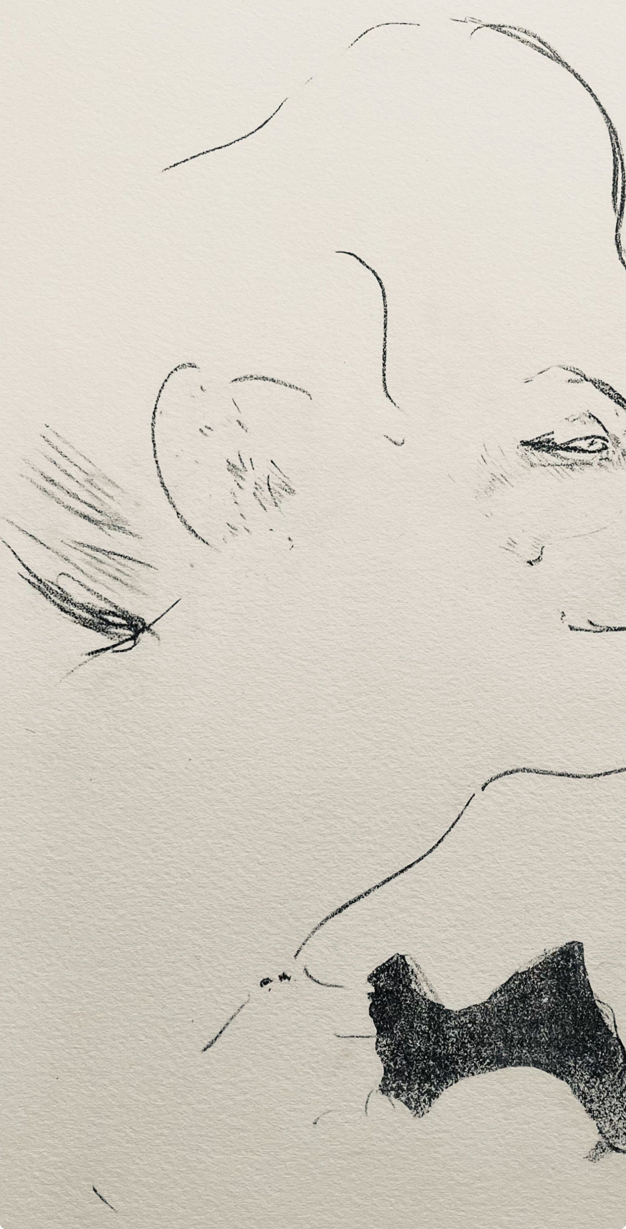 Henri De Toulouse-Lautrec, Composition, Yvette Guilbert Vue Par Toulouse-Lautrec, Lithograph