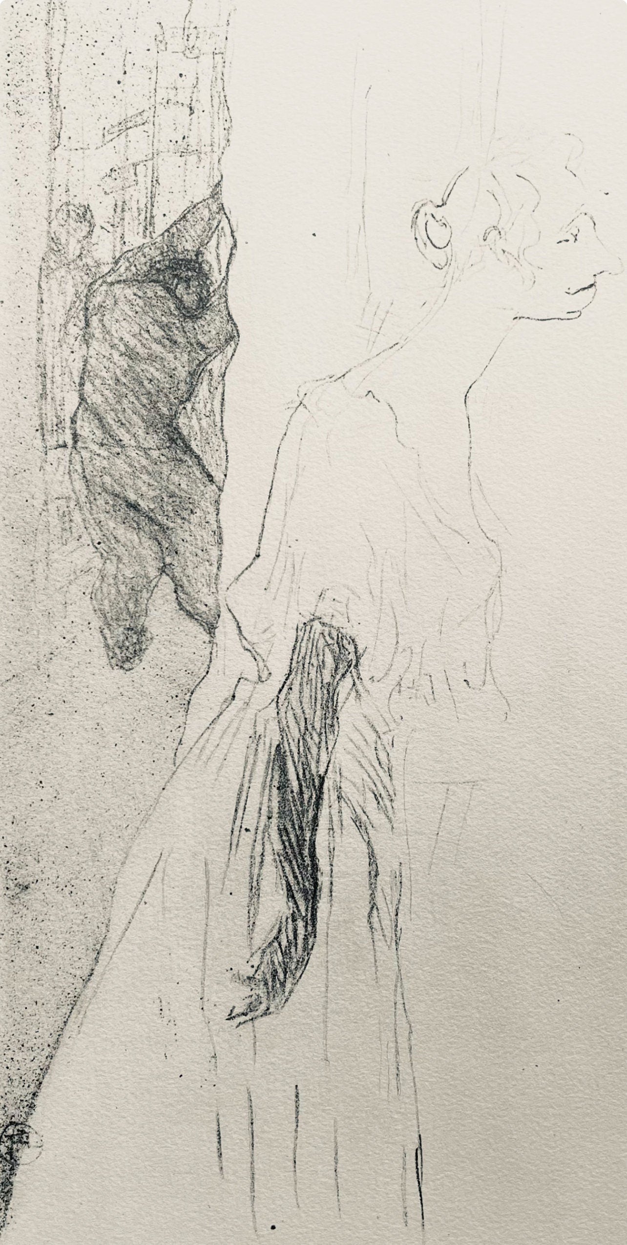 Henri De Toulouse-Lautrec, Composition, Yvette Guilbert Vue Par Toulouse-Lautrec, Lithograph