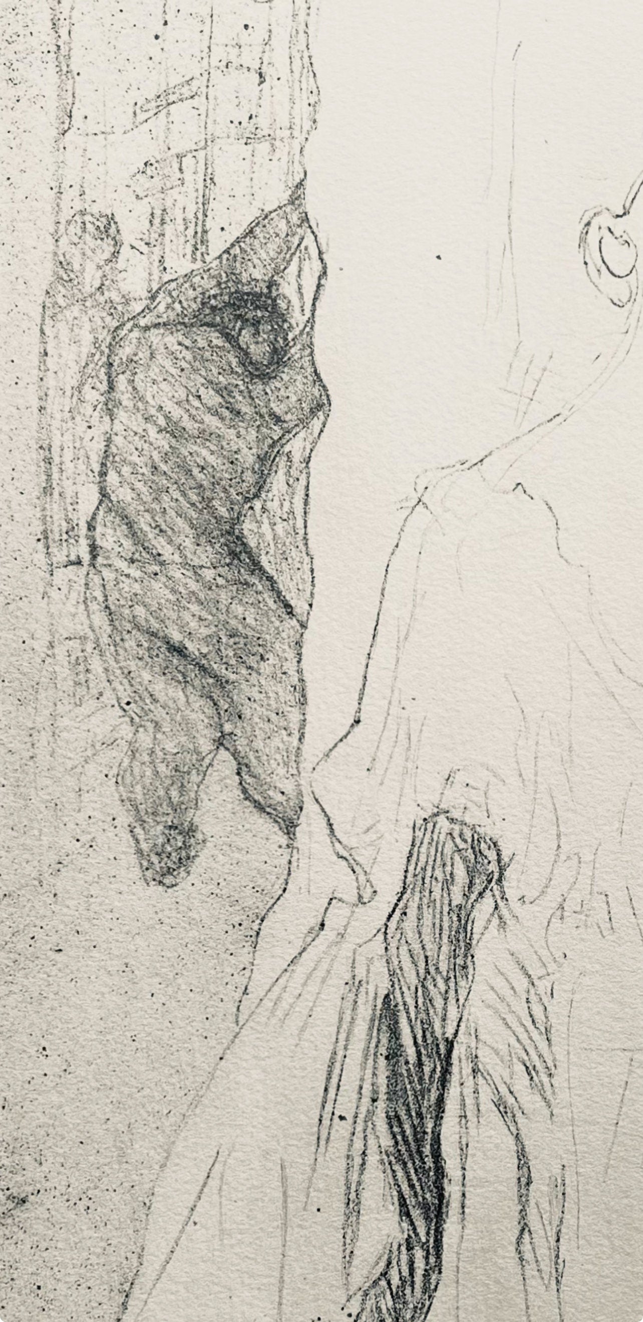 Henri De Toulouse-Lautrec, Composition, Yvette Guilbert Vue Par Toulouse-Lautrec, Lithograph