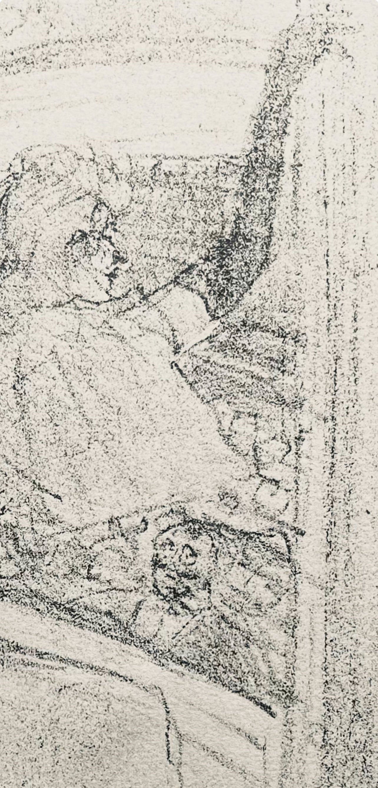 Henri De Toulouse-Lautrec, Composition, Yvette Guilbert Vue Par Toulouse-Lautrec, Lithograph