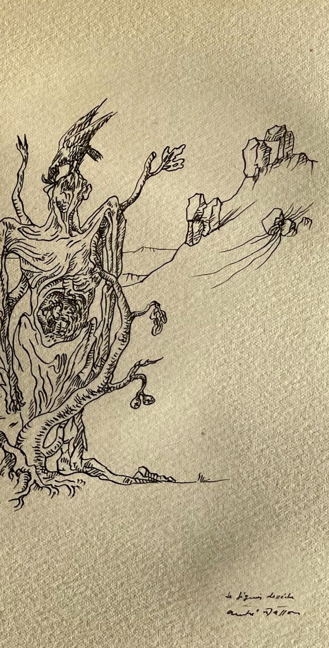 Andr Masson, Le Figuier Dessch, Masson Dessins, Lithograph