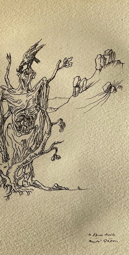 Andr Masson, Le Figuier Dessch, Masson Dessins, Lithograph