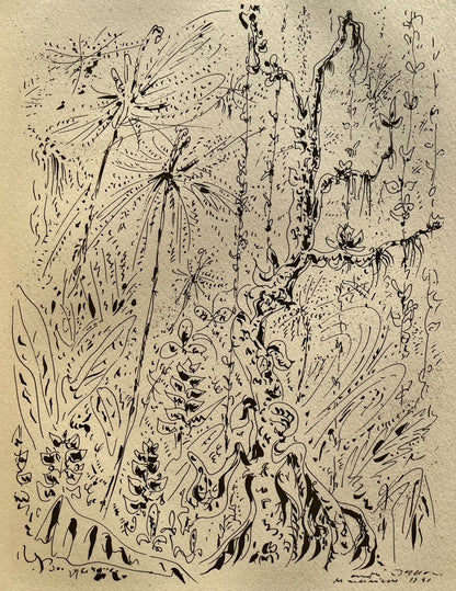 Andr Masson, Fort Martiniquaise, Masson Dessins, Lithograph