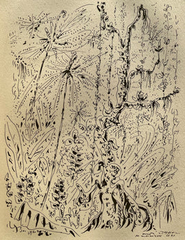 Andr Masson, Fort Martiniquaise, Masson Dessins, Lithograph