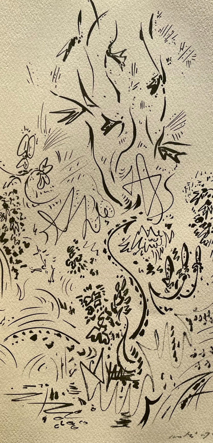 Andr Masson, Herbes Et Fleurs, Masson Dessins, Lithograph