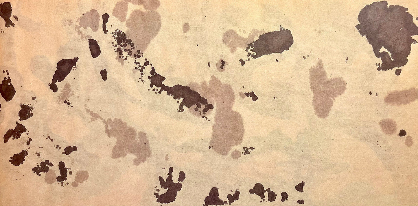 Jackson Pollock, Composition, Jackson Pollock, The Last Sketchbook, Lithograph