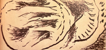 Jackson Pollock, Composition, Jackson Pollock, The Last Sketchbook, Lithograph